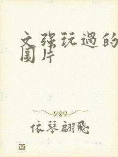 文强玩过的女人图片