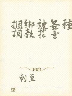 捆绑被各种工具调教花蒂