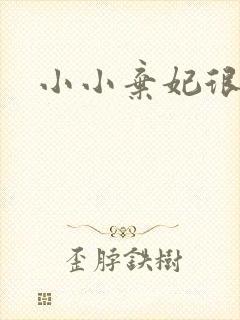 小小弃妃很倾城