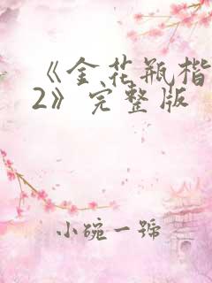 《金花瓶楷梅花2》完整版