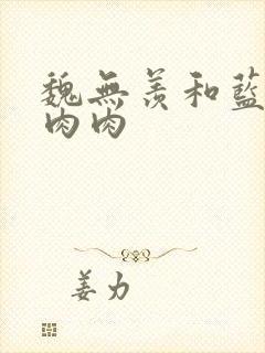 魏无羡和蓝忘机肉肉