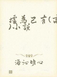 据为己有(高干)小说