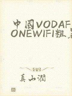 中国VODAFONEWIFI粗暴APP