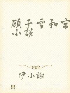 顾千雪和宫凌沨小说
