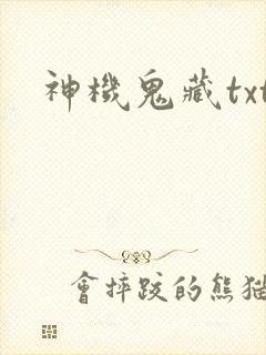 神机鬼藏txt