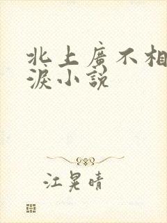 北上广不相信眼泪小说