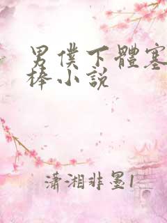 男仆下体塞震动棒小说