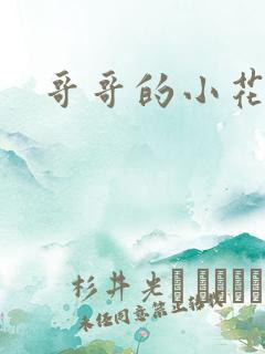 哥哥的小花妖