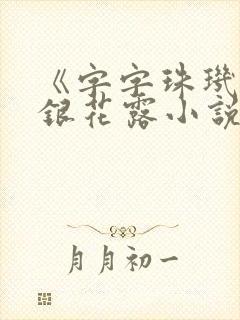 《字字珠玑》金银花露小说