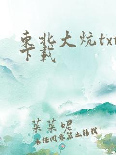 东北大炕txt下载