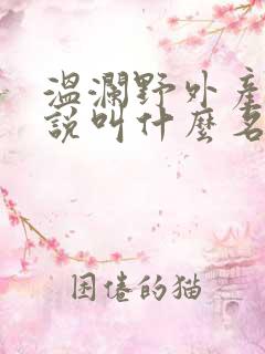 温澜野外产子小说叫什么名字