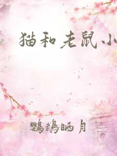 猫和老鼠小说