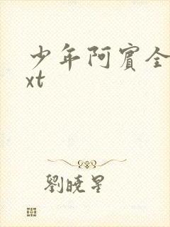 少年阿宾全集txt