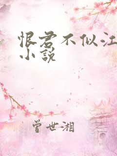 恨君不似江楼月小说