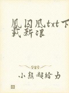 凤囚凰txt下载新浪