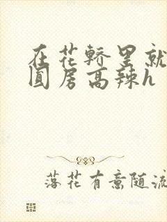 在花轿里就开始圆房高辣h