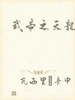 武帝之天龙八部