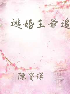 逃婚王爷追逃妃