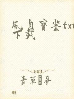 风月宝鉴txt下载