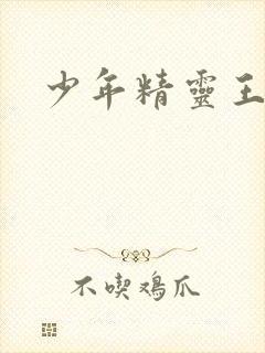 少年精灵王