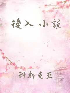 后入 小说
