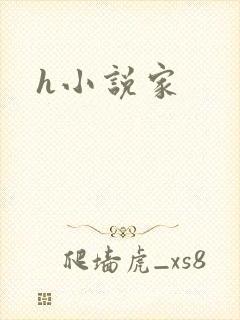 h小说家