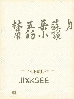 林五岳苏月灵主角的小说
