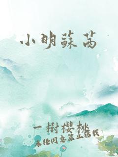 小明苏茜