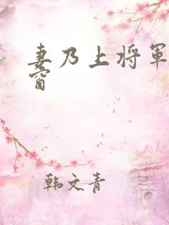 妻乃上将军无弹窗