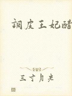 调皮王妃醋王爷