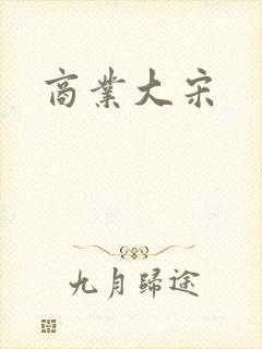 商业大宋