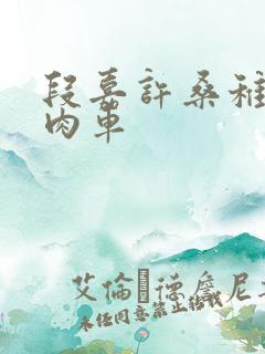 段嘉许桑稚浴室肉车