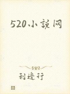 520小说网
