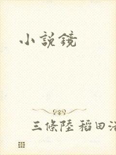小说镜