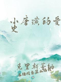 小唐璜的爱情历史