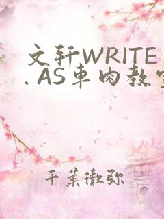 文轩WRITE. AS车肉教室