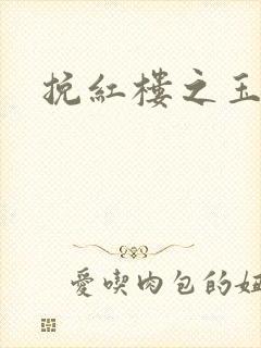 挽红楼之玉亦狂