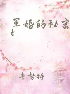 军婚的秘密txt