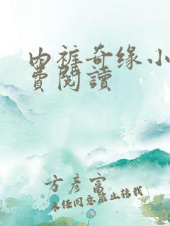 内裤奇缘小说免费阅读