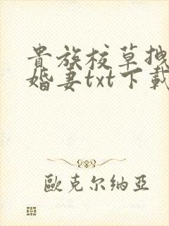 贵族校草拽拽未婚妻txt下载
