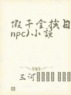 假千金挨日记(npc)小说