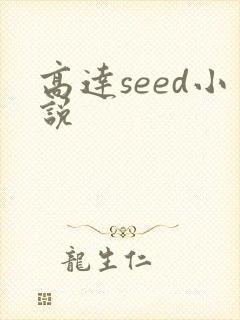 高达seed小说