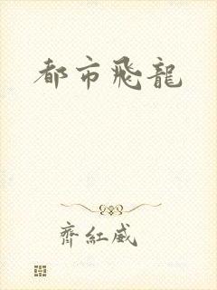 都市飞龙
