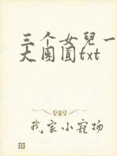 三个女儿一锅烩大团圆txt
