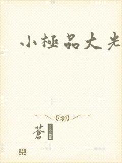 小极品大光棍