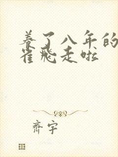 养了八年的金丝雀飞走啦