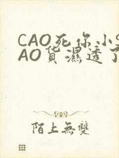 CAO死你小SAO货湿透了学长