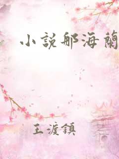 小说那海兰珠