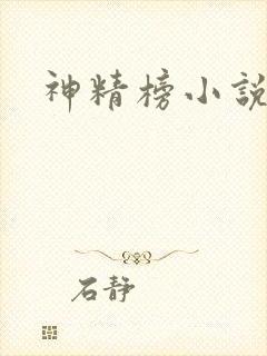 神精榜小说