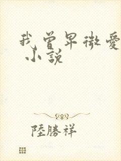 我曾卑微爱过你 小说